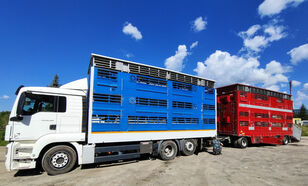 MAN MAN TGS 26.480 Pezzaioli livestock truck + livestock trailer