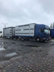 SCANIA 124-420 livestock truck + livestock trailer